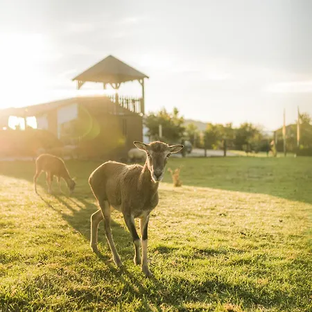 Hof Koehne - Doppelhaus - Dreifachhexe Σπίτι διακοπών *