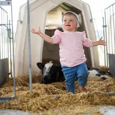 Hof Koehne - Doppelhaus - Dreifachhexe Schmallenberg
