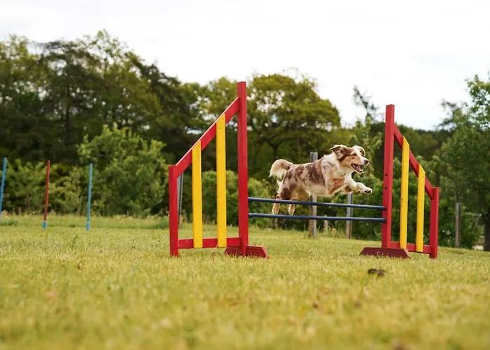 Hof Köhne - Doppelhaus - Dreifachhexe *