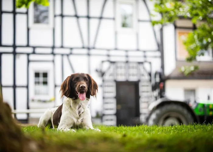 Hof Köhne - Doppelhaus - Dreifachhexe Ferienhaus *