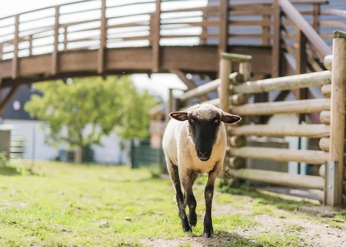 Hof Köhne - Doppelhaus - Dreifachhexe Schmallenberg