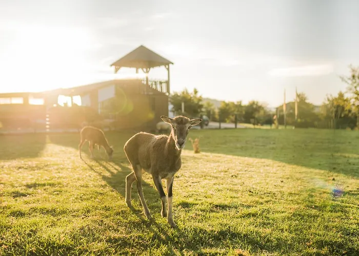 Hof Köhne - Doppelhaus - Dreifachhexe Ferienhaus *