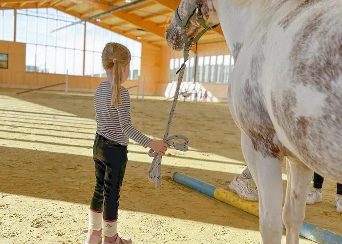 Ferienhaus Hof Köhne - Doppelhaus - Dreifachhexe Schmallenberg