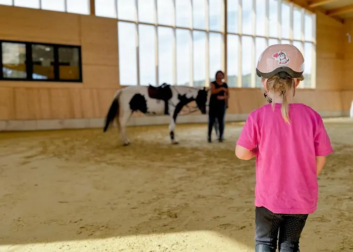 Hof Köhne - Doppelhaus - Dreifachhexe Ferienhaus